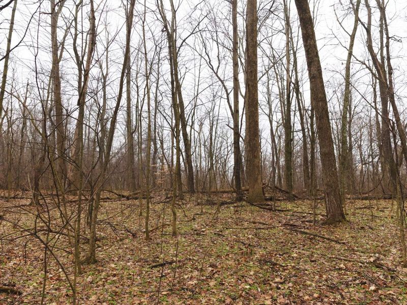 12025 Pleasant Valley Road NE, Frazeysburg, OH 43822 Photo 22