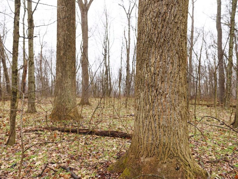 12025 Pleasant Valley Road NE, Frazeysburg, OH 43822 Photo 23