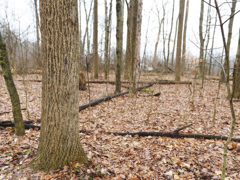 12025 Pleasant Valley Road NE, Frazeysburg, OH 43822 Photo 25