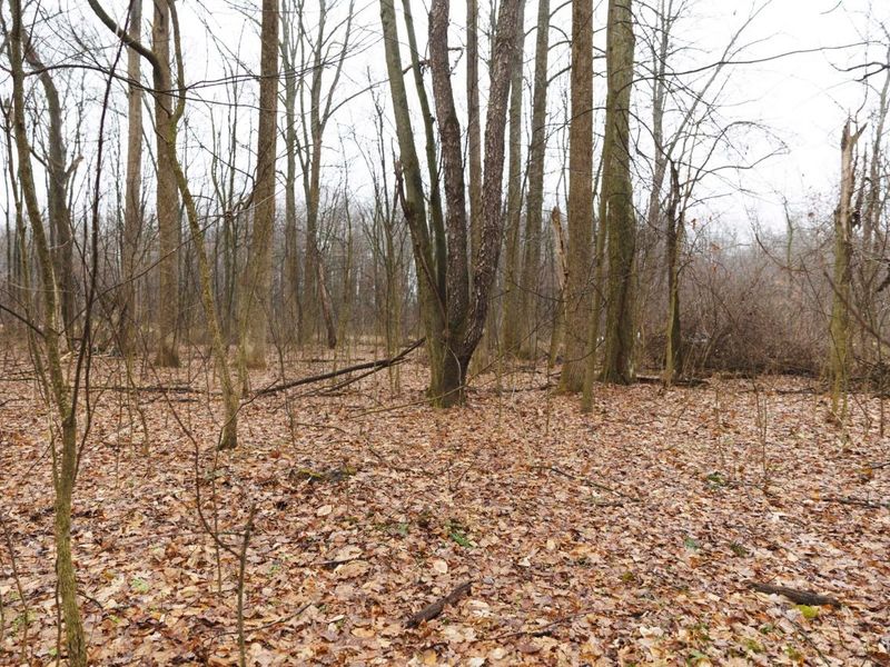 12025 Pleasant Valley Road NE, Frazeysburg, OH 43822 Photo 26