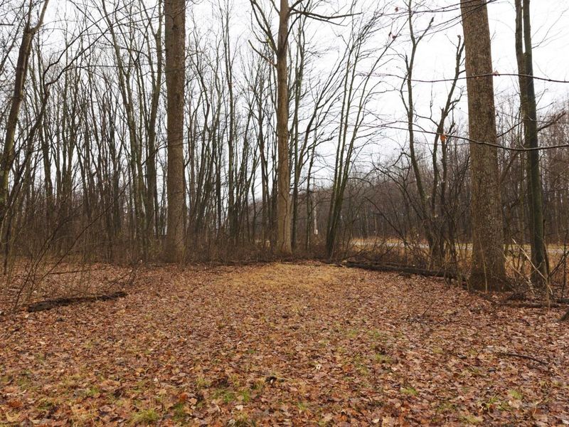 12025 Pleasant Valley Road NE, Frazeysburg, OH 43822 Photo 29