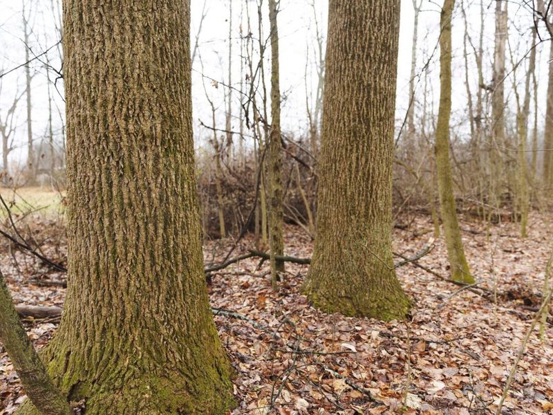 12025 Pleasant Valley Road NE, Frazeysburg, OH 43822 Photo 6