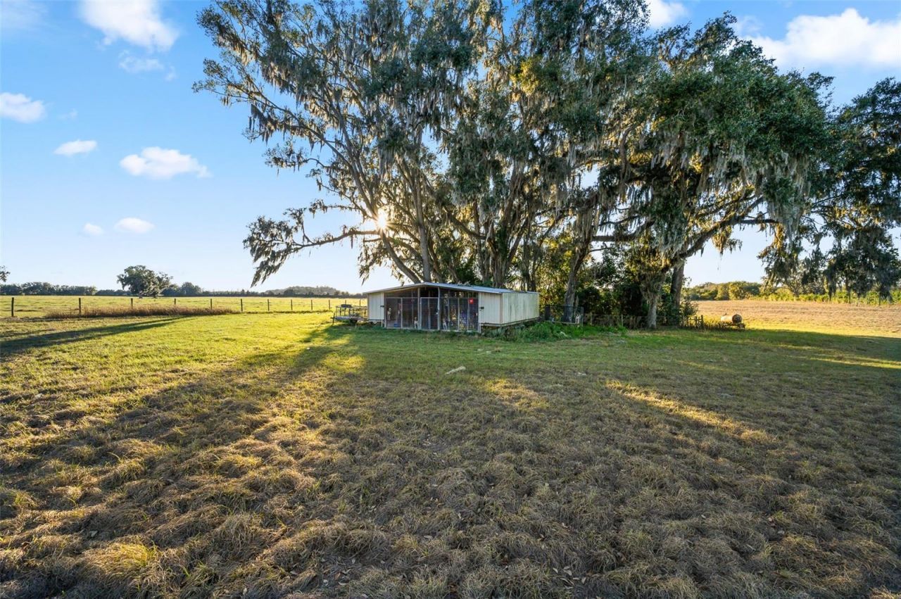 3789 NW 202nd Street, Newberry, FL 32669 Photo