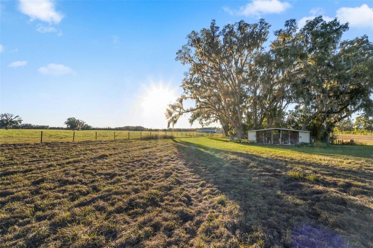 3789 NW 202nd Street, Newberry, FL 32669 Photo