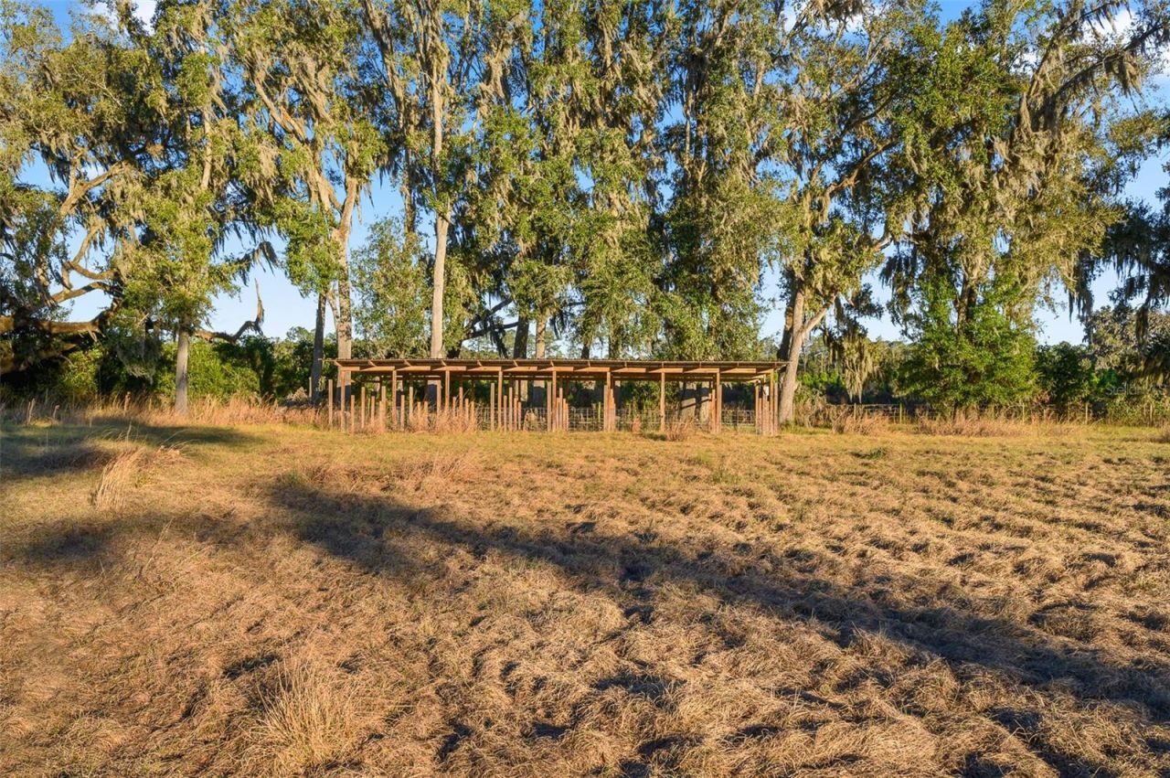 3789 NW 202nd Street, Newberry, FL 32669 Photo