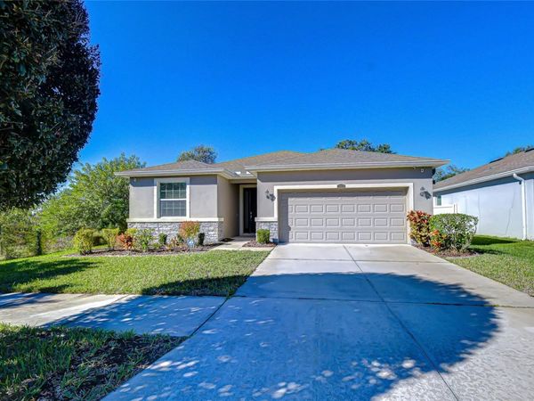 10434 SCENIC HOLLOW DRIVE, RIVERVIEW, FL 33578