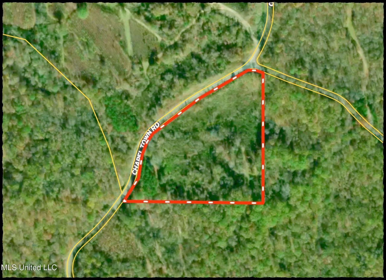 Chapel Town Road, Courtland, MS 38620 Main Photo