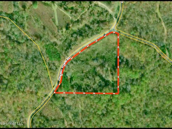 Chapel Town Road, Courtland, MS 38620