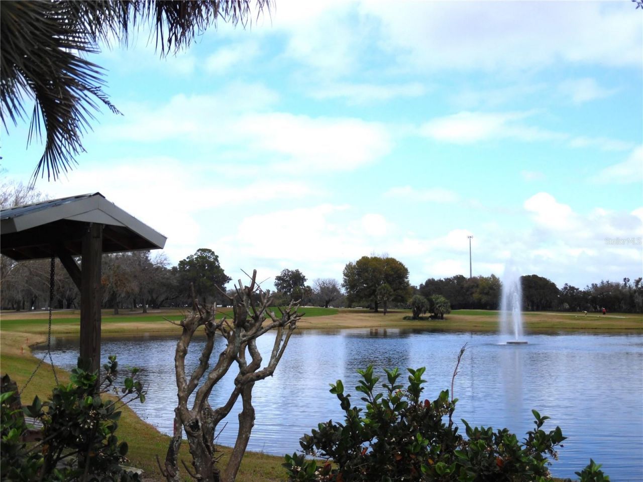 91 N Bobwhite Rd, Wildwood, FL 34785 Photo