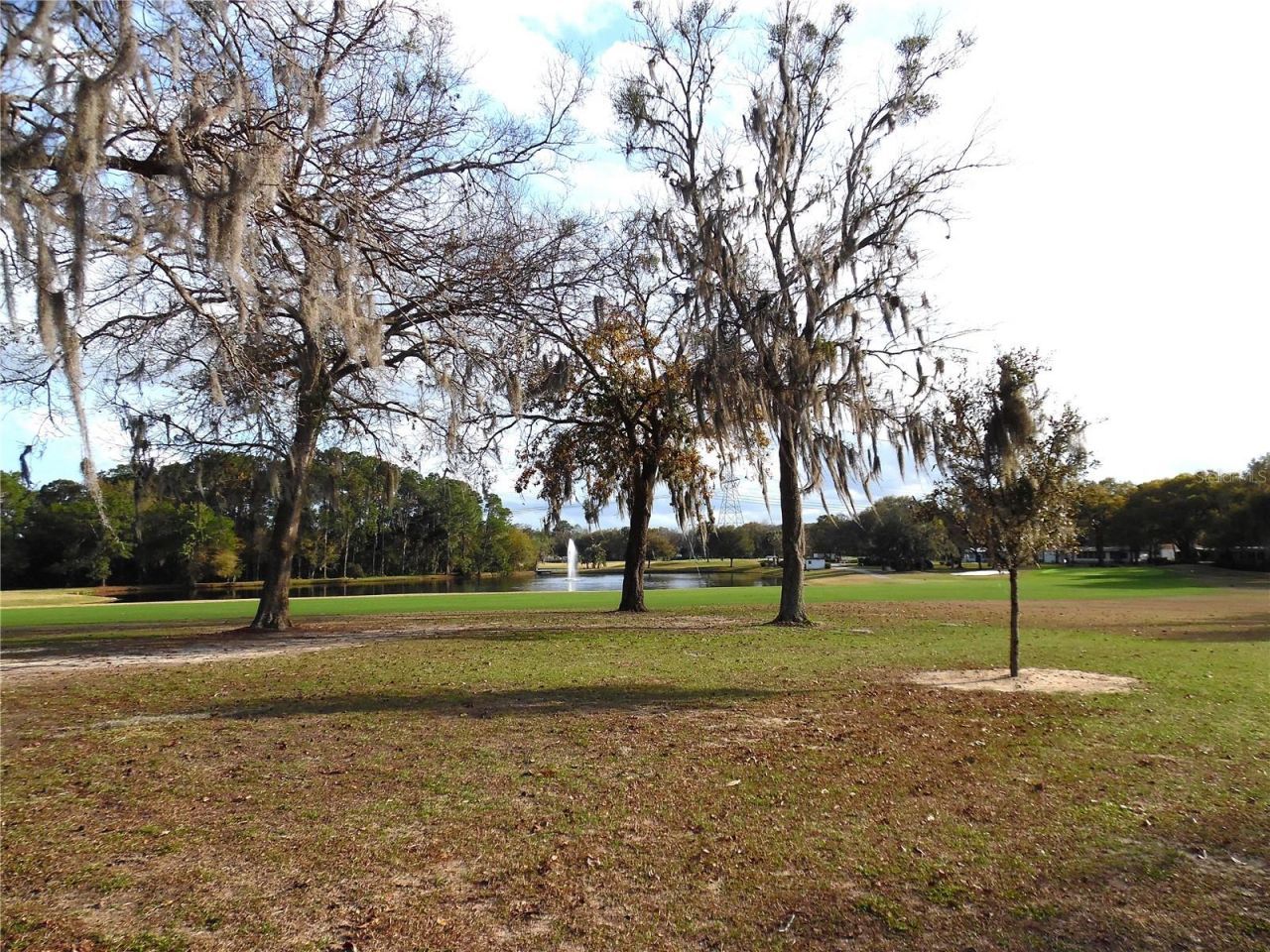 91 N Bobwhite Rd, Wildwood, FL 34785 Photo