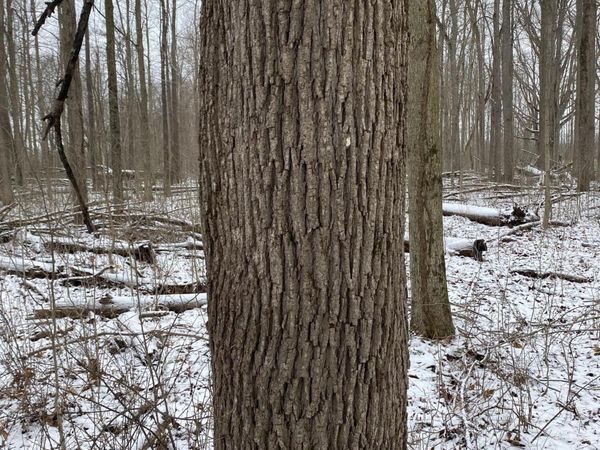 W Copeland Road, Unit 2, Bronson, MI 49028