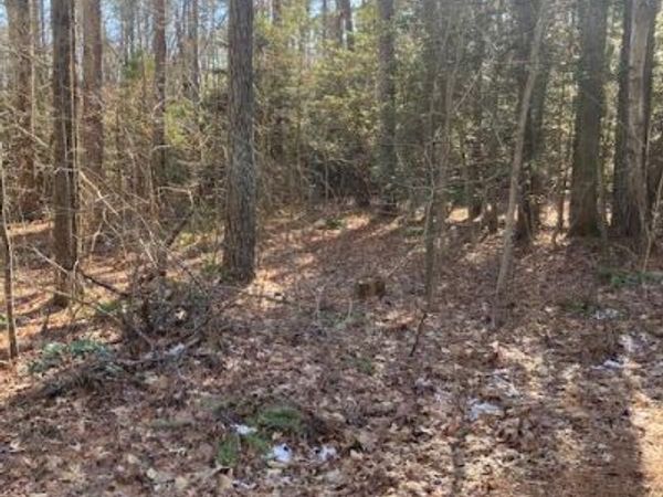 000 Knights Landing Drive, HEATHSVILLE, VA 22473