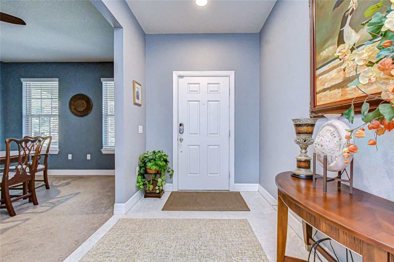 1521 Banner Elk Street, Valrico, FL 33594 Photo