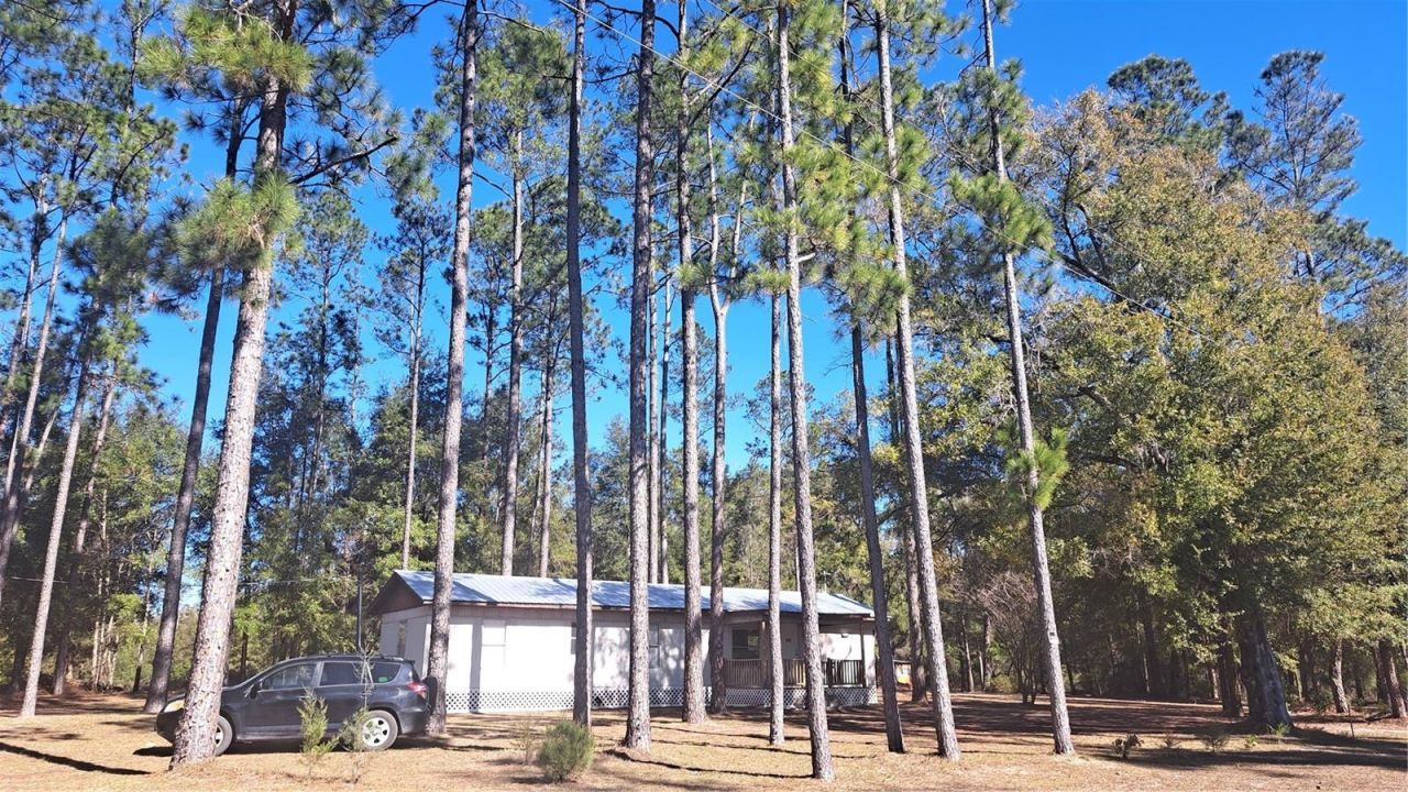 669 SW Shiloh Street, Fort White, FL 32038 Main Photo