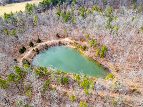 7030 Wayne 341, Piedmont, MO 63957