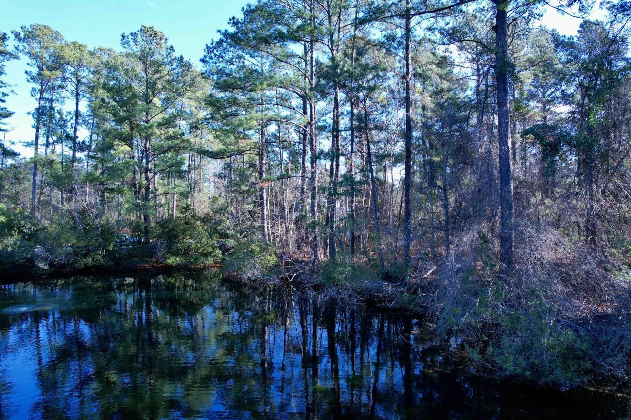 10 Lots - Dragooon Ct.  Photo 10