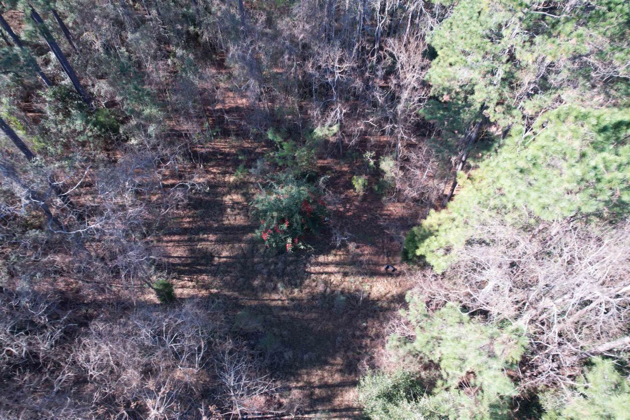 10 Lots - Dragooon Ct.  Photo 11