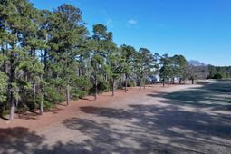 10 Lots - Dragooon Ct.  photo 4