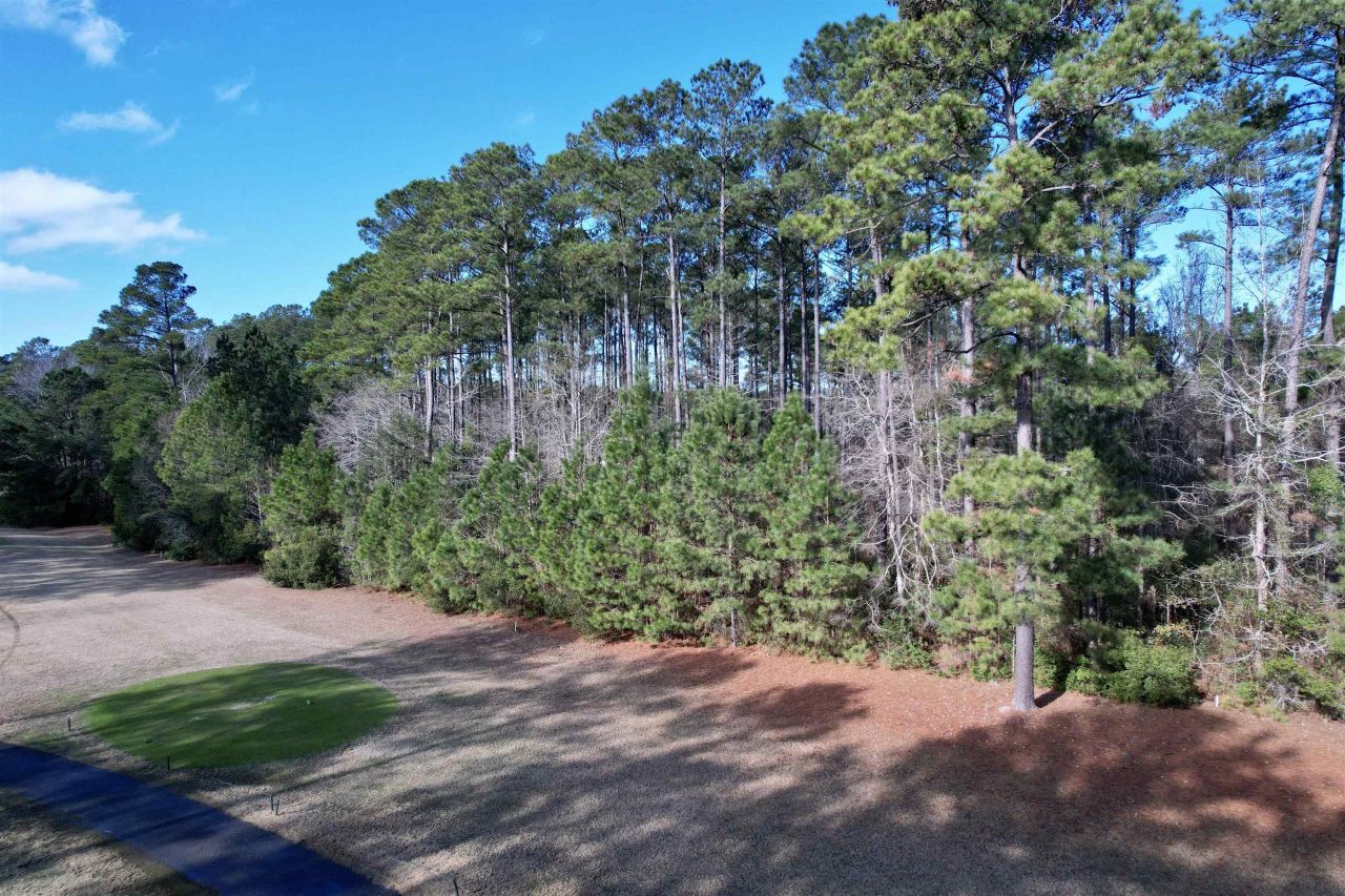10 Lots - Dragooon Ct.  Photo 7