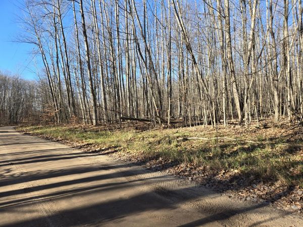 9614 Birch Run Trail, Gaylord, MI 49735
