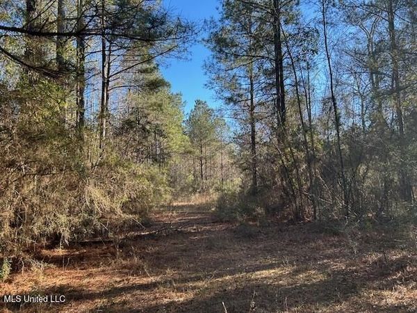 1059 Candy Lane, McComb, MS 39648