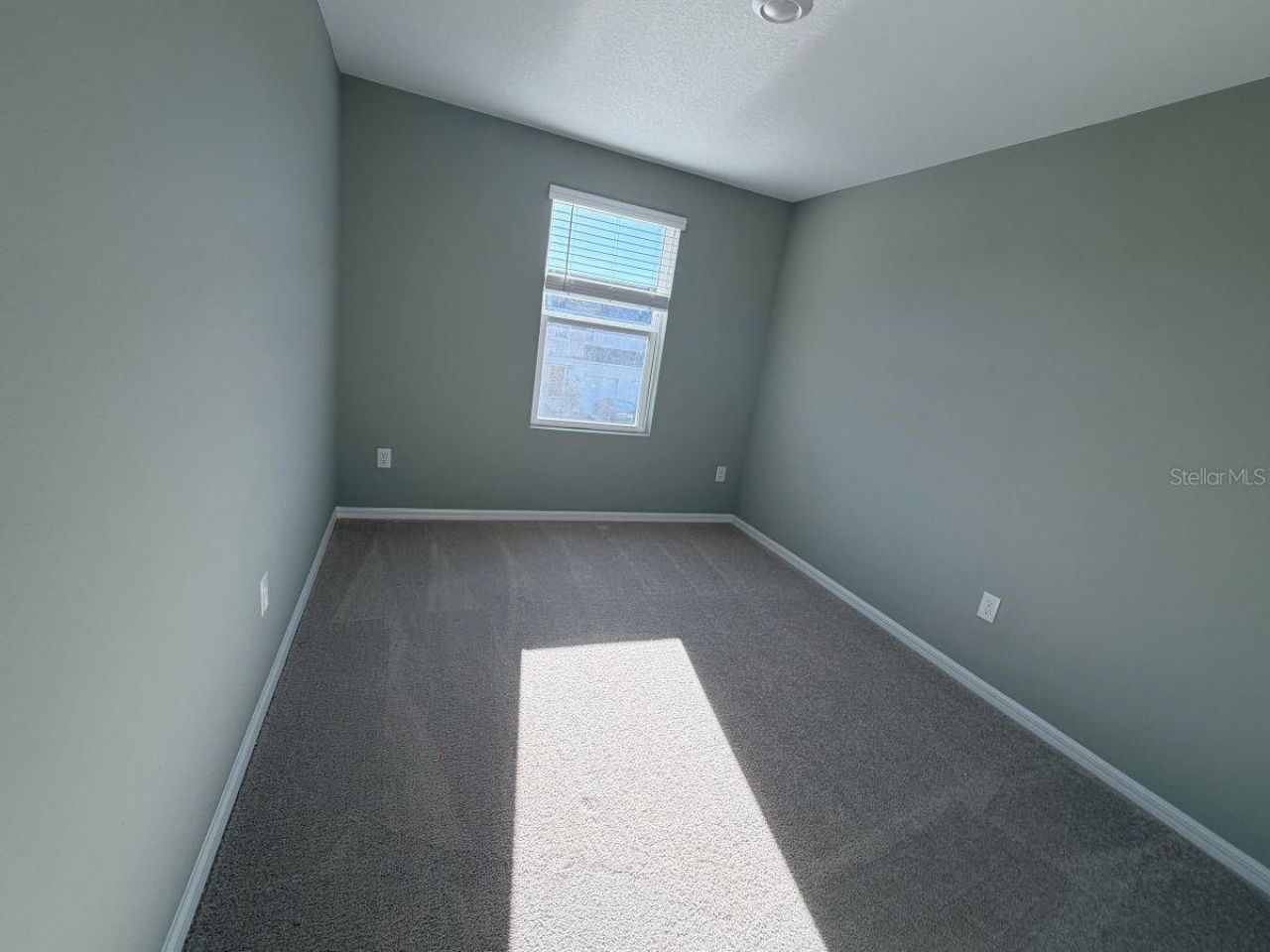 11636 Glenside Terrace, Palmetto, FL 34221 Photo