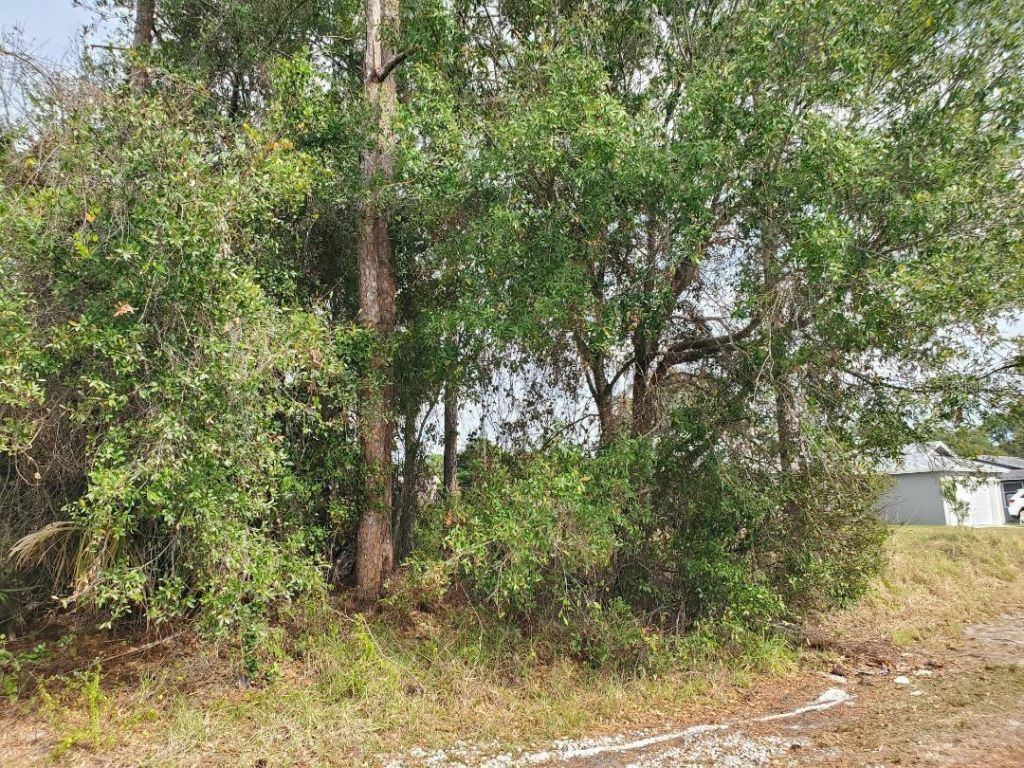 1009 SW Castaneda Lane, Port Saint Lucie, FL 34953 Photo