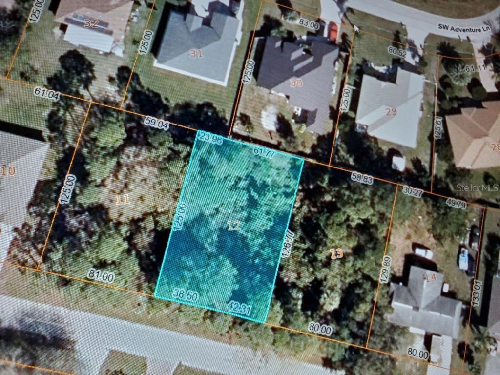 1009 SW Castaneda Lane, Port Saint Lucie, FL 34953 Photo