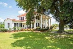 596 Neeses Hwy Highway photo 4