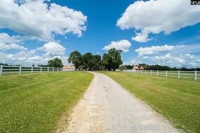 596 Neeses Hwy Highway Photo 5