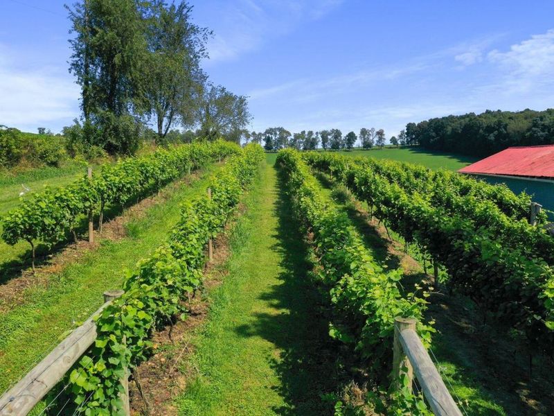 26367 Danville Amity Road , Danville, OH 43014 Photo 14