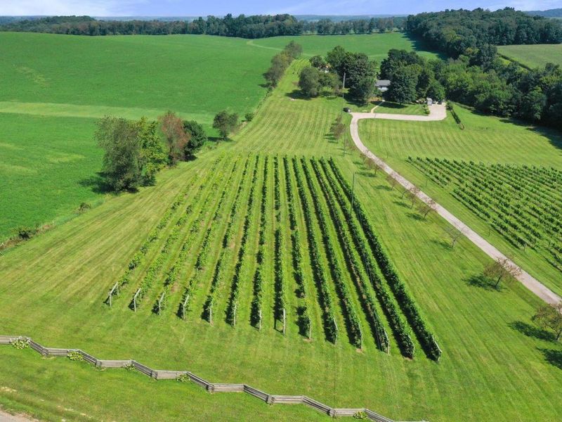 26367 Danville Amity Road , Danville, OH 43014 Photo 6