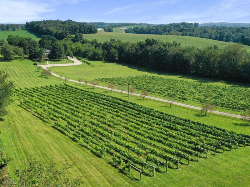 26367 Danville Amity Road , Danville, OH 43014 Photo 7