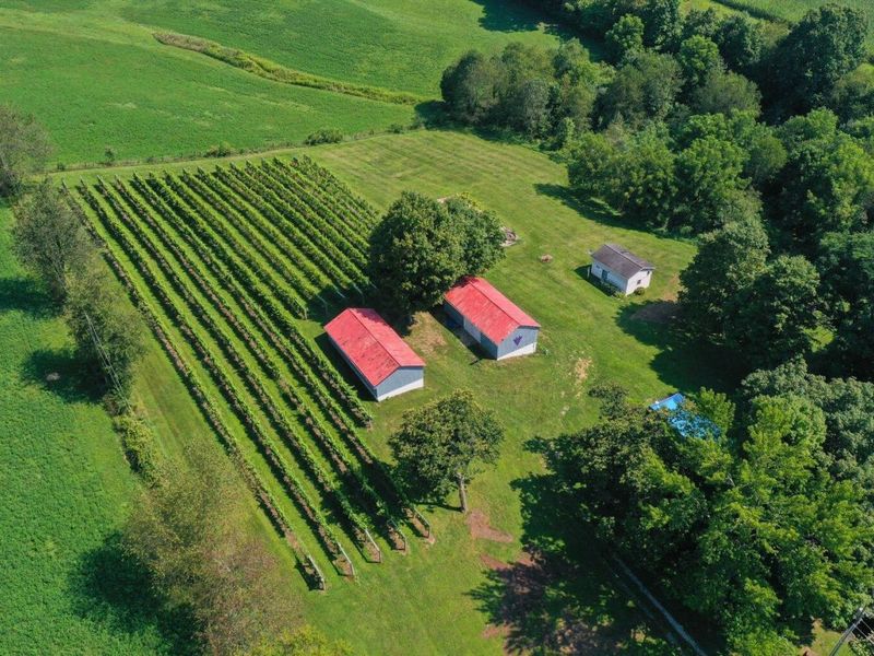 26367 Danville Amity Road , Danville, OH 43014 Photo 8