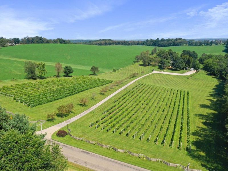 26367 Danville Amity Road , Danville, OH 43014 Photo 9