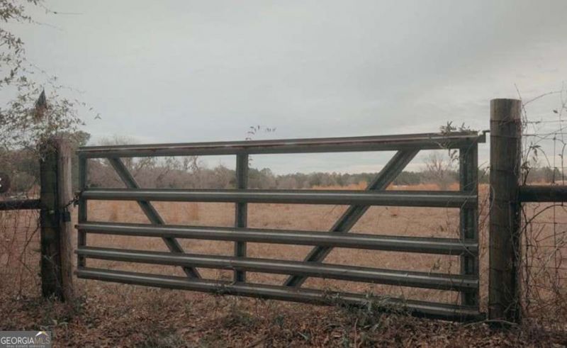 0 Sylvester Drive, Nahunta, GA 31553 Main Photo