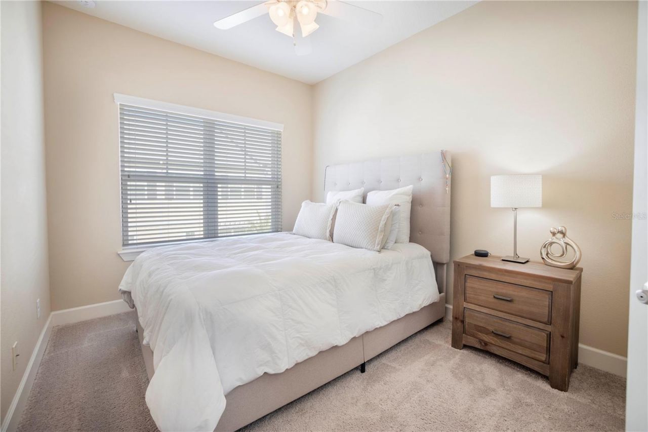 6036 Anchorage Way S, Saint Petersburg, FL 33712 Photo