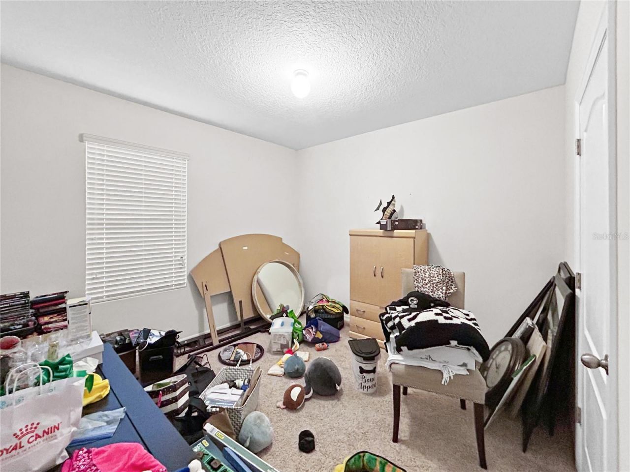 4411 Lindever Lane, Palmetto, FL 34221 Photo