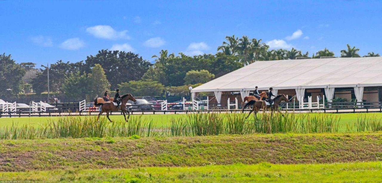 16639 Hollow Tree Lane, Wellington, FL 33470 Photo