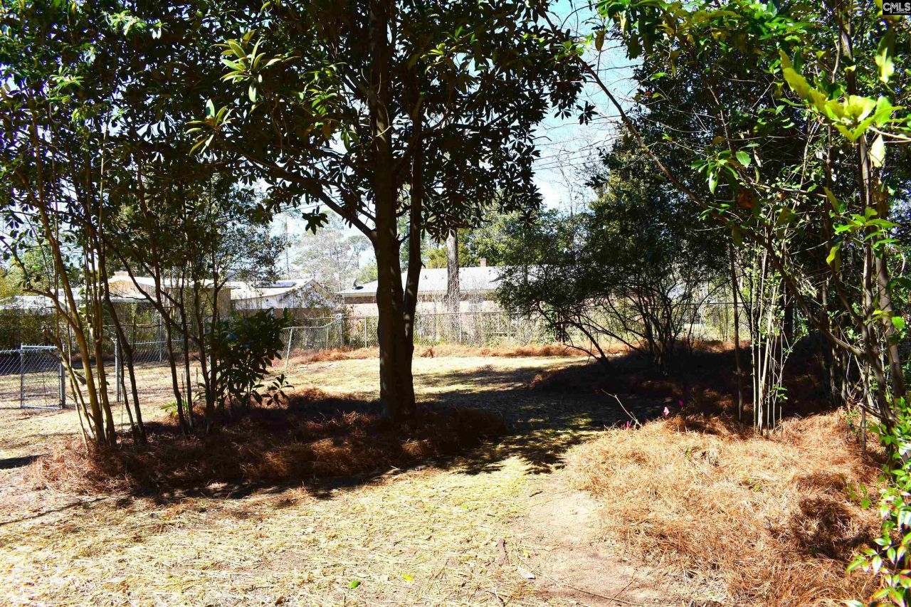 813 Greenlawn Drive Photo 10