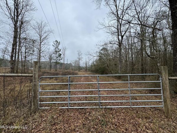 Cold Springs Road, Collins, MS 39428