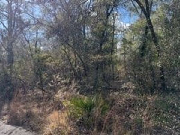 SW 22ND PL, Bell, FL 32619