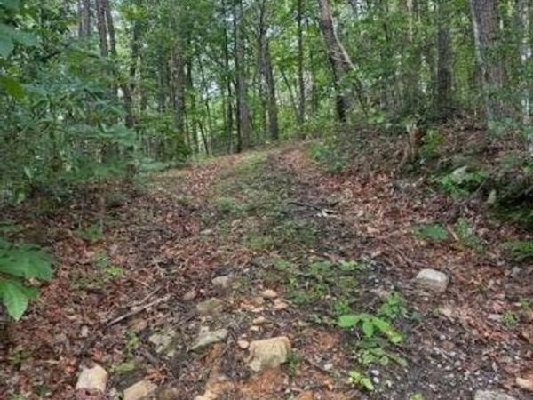 10.96 AC Paramount Trail, Ellijay, GA 30536