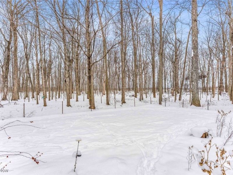 50902 Becker Road, Oberlin, OH 44074 Photo 9