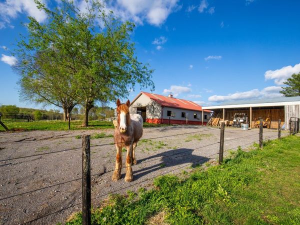 501 Burnt Hill Rd , Unionville, TN 37180