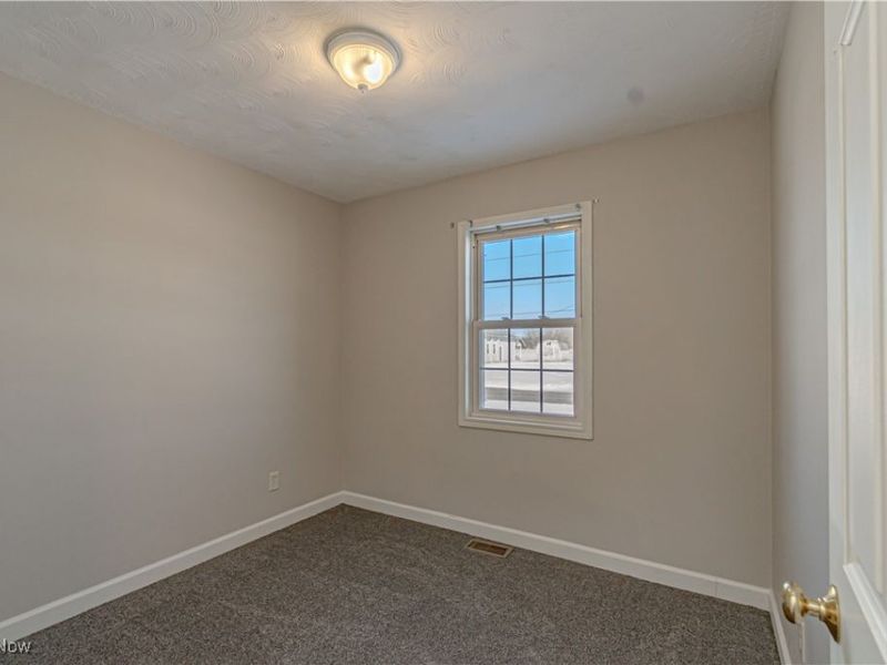 155 Sterling Street, Creston, OH 44217 Photo 19