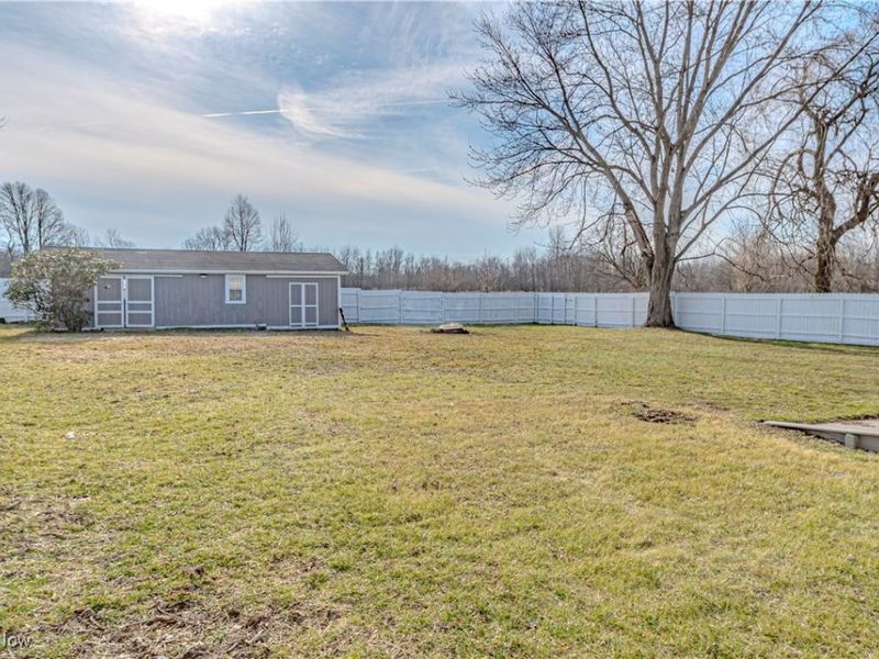 155 Sterling Street, Creston, OH 44217 Photo 3