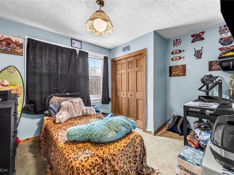 1556 Saxe Road, Mogadore, OH 44260 Photo 20