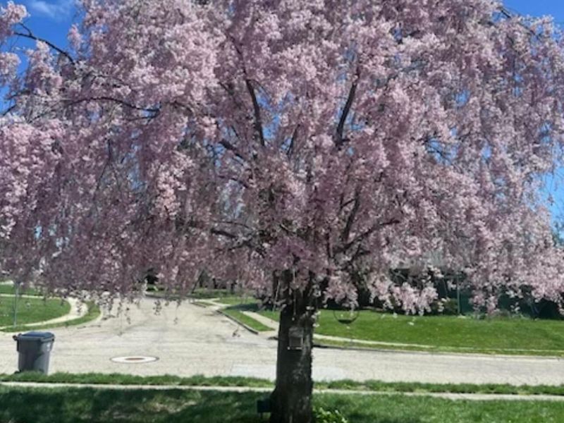 1545 Alar Avenue, Reynoldsburg, OH 43068 Photo 30