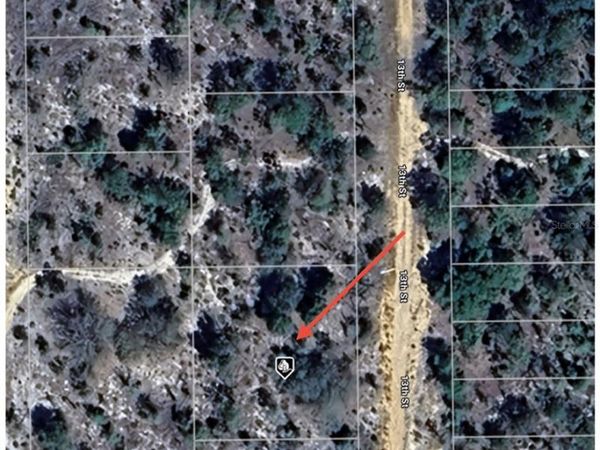 TBD 13TH STREET, INTERLACHEN, FL 32148